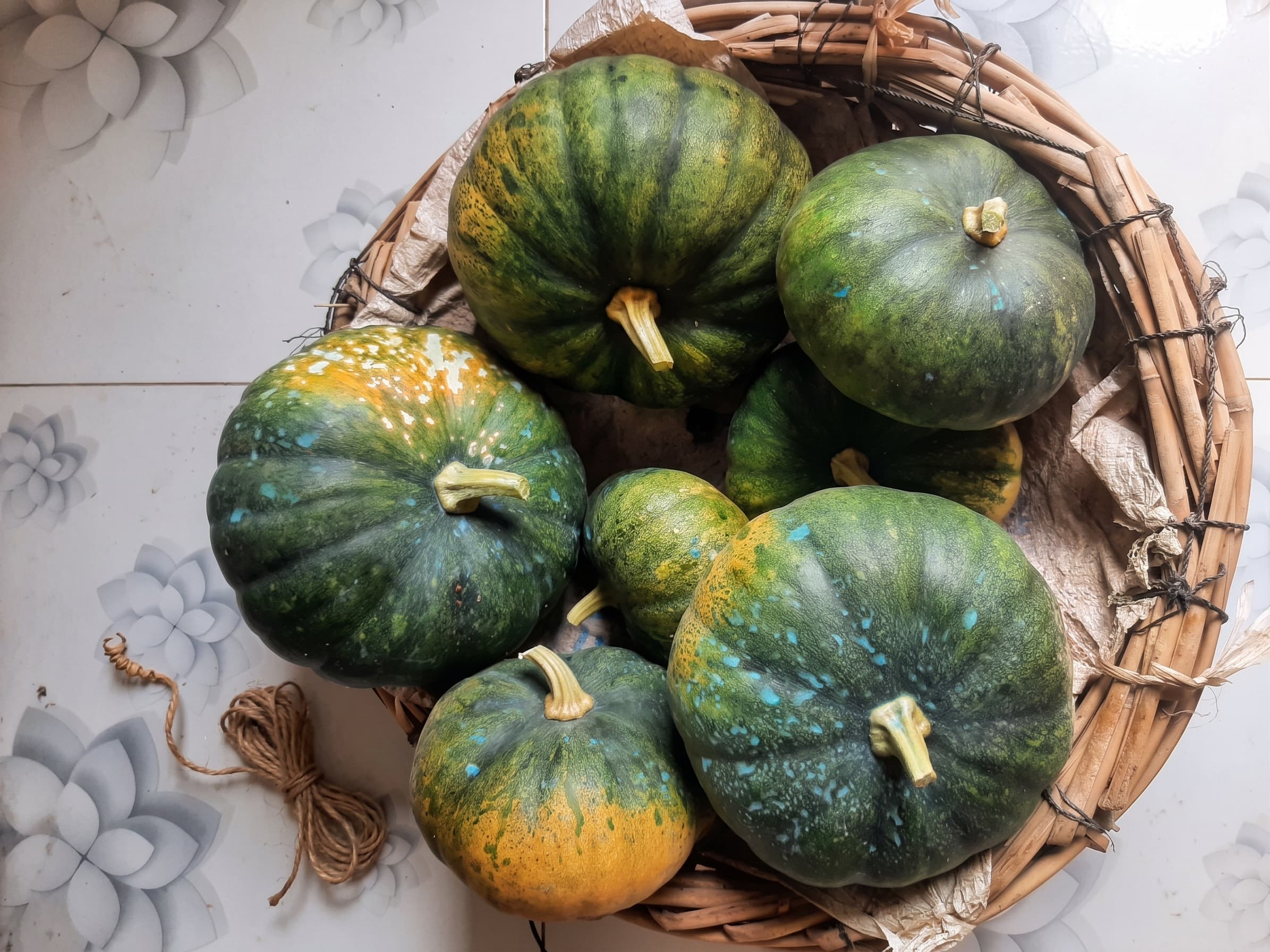 Sweet Field Pumpkin Harvest