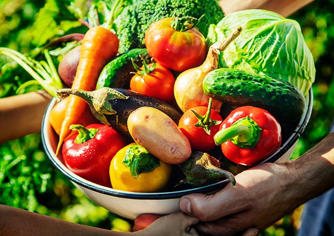 Farm-to-Table Organic Dining