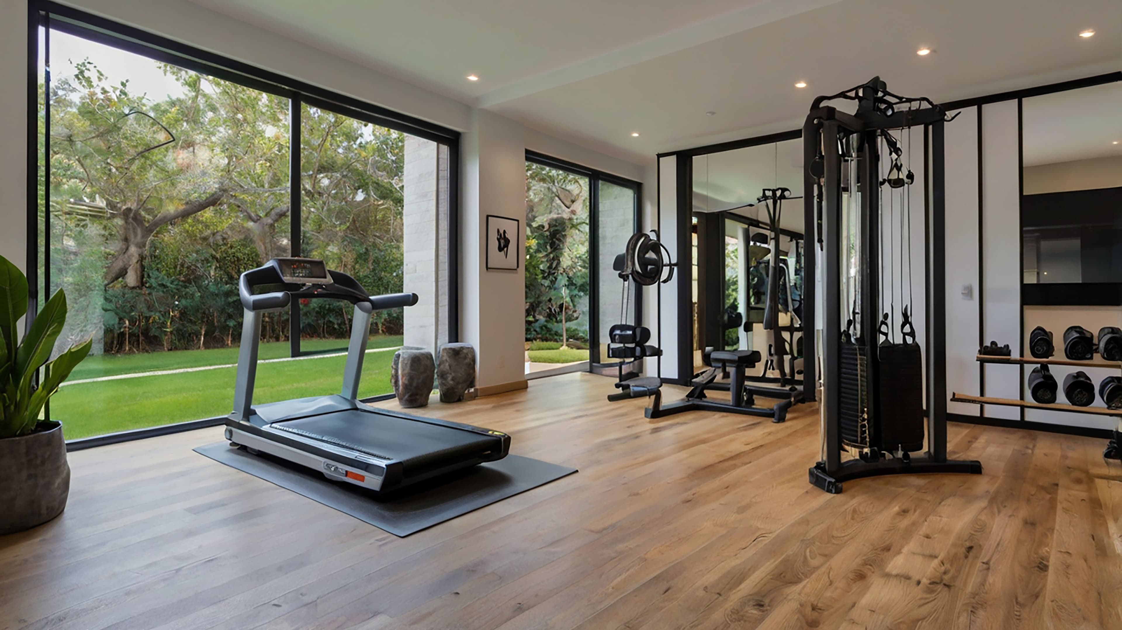 International Standard Gym