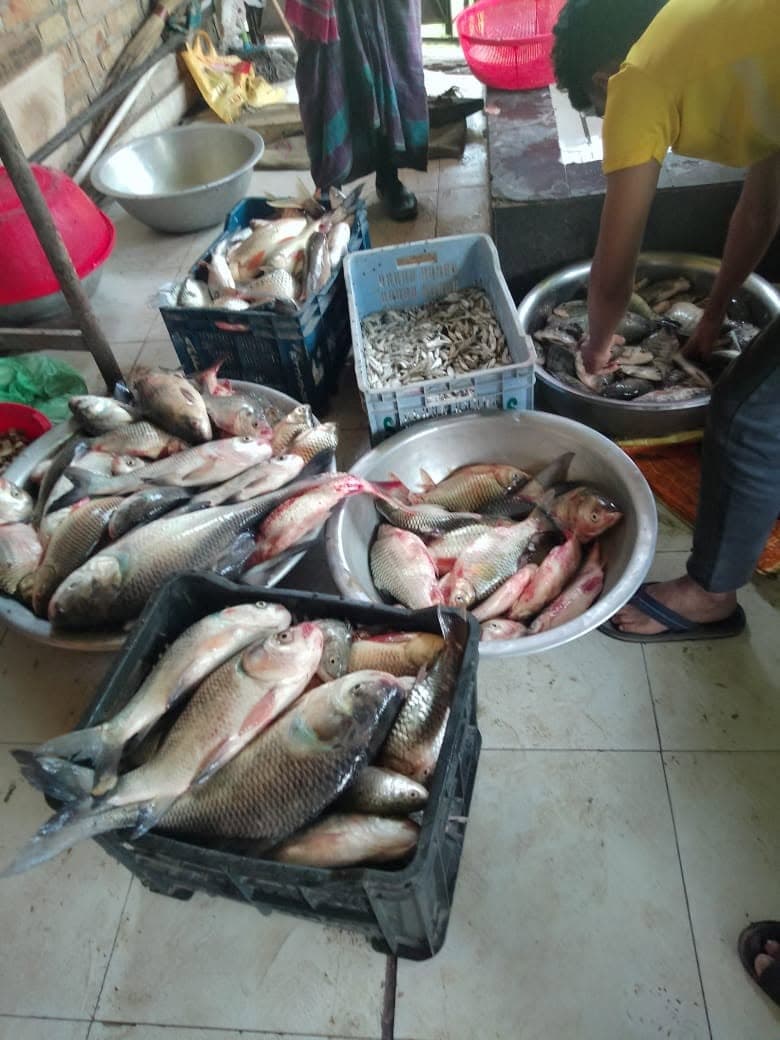 Daily Catch Sorting & Packaging